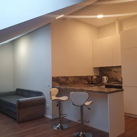 Apartament Butas-studija-palepe *